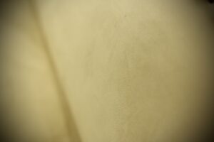 IMG_6550-min